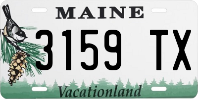 ME license plate 3159TX