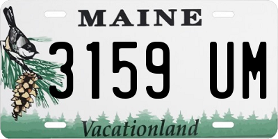 ME license plate 3159UM