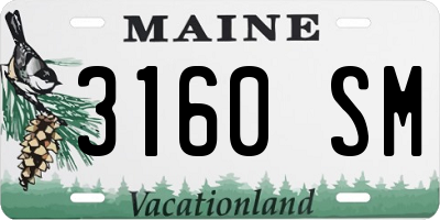 ME license plate 3160SM