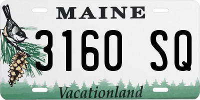 ME license plate 3160SQ
