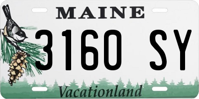 ME license plate 3160SY