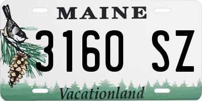 ME license plate 3160SZ