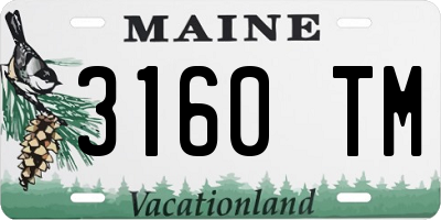 ME license plate 3160TM