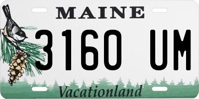 ME license plate 3160UM