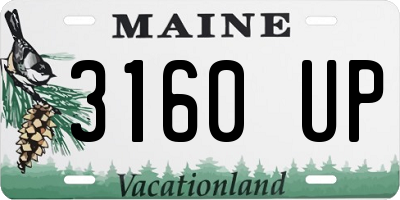 ME license plate 3160UP