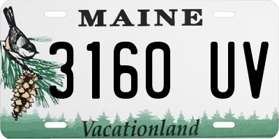 ME license plate 3160UV