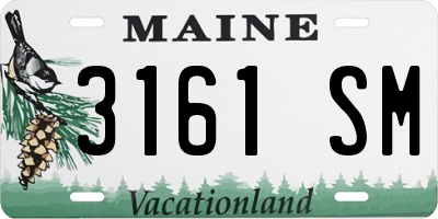 ME license plate 3161SM