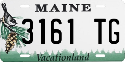 ME license plate 3161TG