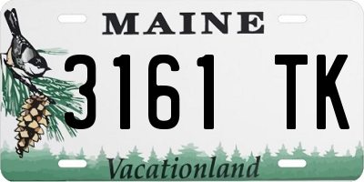 ME license plate 3161TK