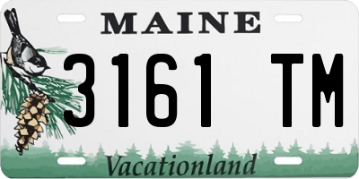 ME license plate 3161TM