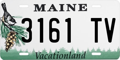 ME license plate 3161TV