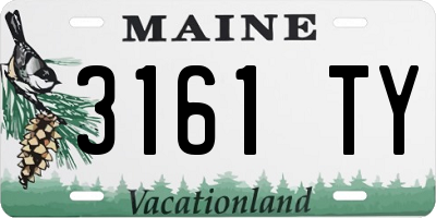ME license plate 3161TY