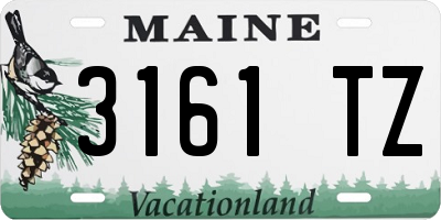 ME license plate 3161TZ