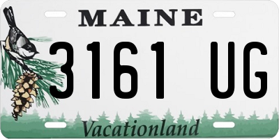 ME license plate 3161UG