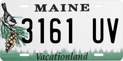 ME license plate 3161UV