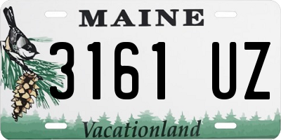 ME license plate 3161UZ