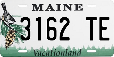 ME license plate 3162TE