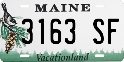 ME license plate 3163SF