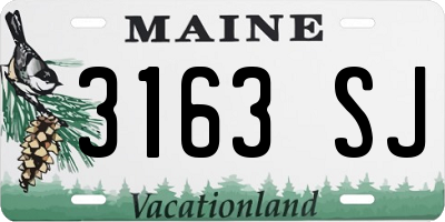 ME license plate 3163SJ