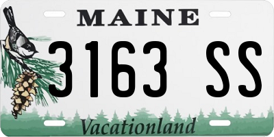 ME license plate 3163SS