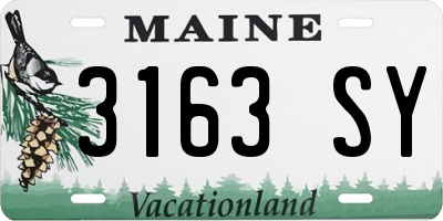 ME license plate 3163SY