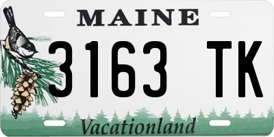 ME license plate 3163TK