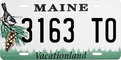ME license plate 3163TO