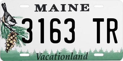 ME license plate 3163TR