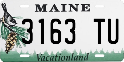 ME license plate 3163TU