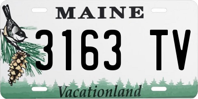 ME license plate 3163TV