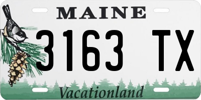 ME license plate 3163TX