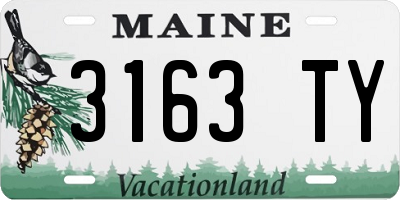 ME license plate 3163TY