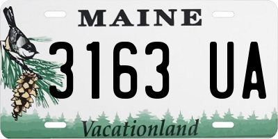 ME license plate 3163UA