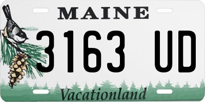 ME license plate 3163UD