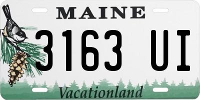 ME license plate 3163UI