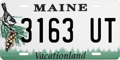 ME license plate 3163UT