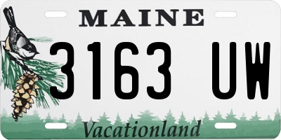 ME license plate 3163UW