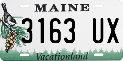 ME license plate 3163UX