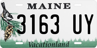 ME license plate 3163UY