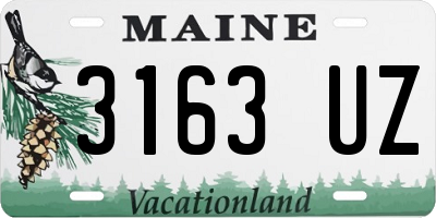 ME license plate 3163UZ