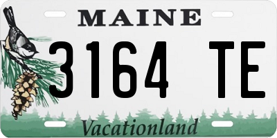 ME license plate 3164TE