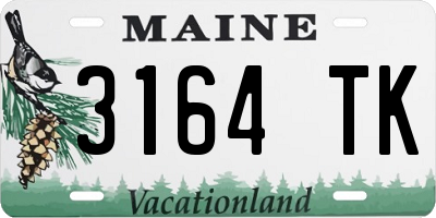 ME license plate 3164TK