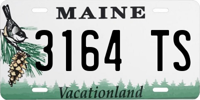 ME license plate 3164TS