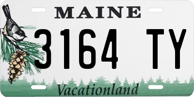 ME license plate 3164TY