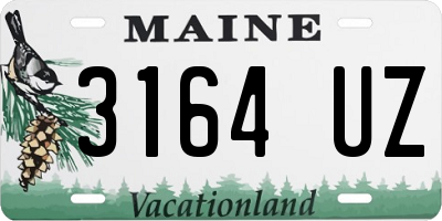 ME license plate 3164UZ