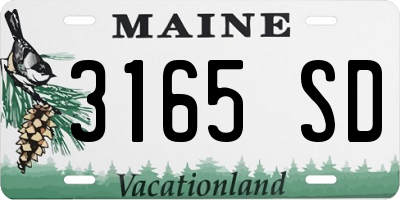 ME license plate 3165SD