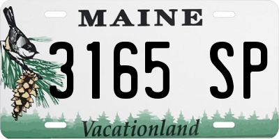 ME license plate 3165SP