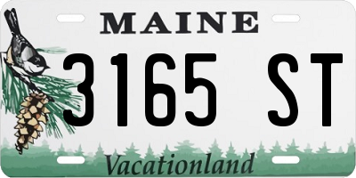 ME license plate 3165ST
