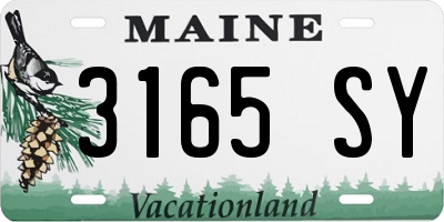 ME license plate 3165SY