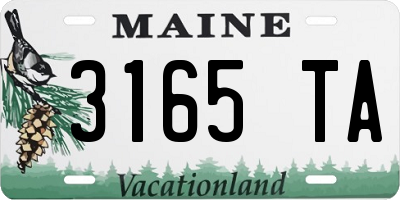 ME license plate 3165TA